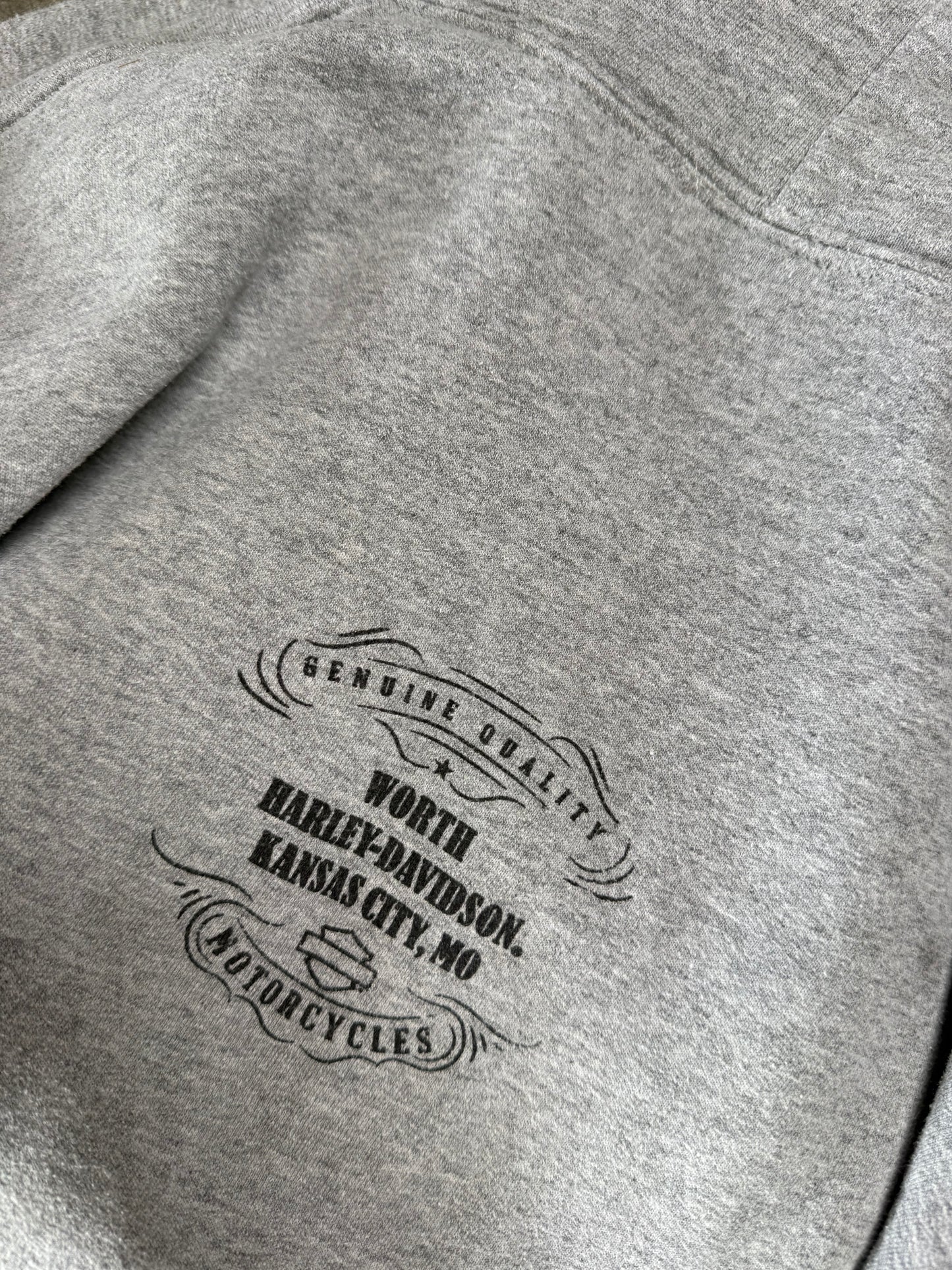 (L) 00s Harley Davidson Hoodie