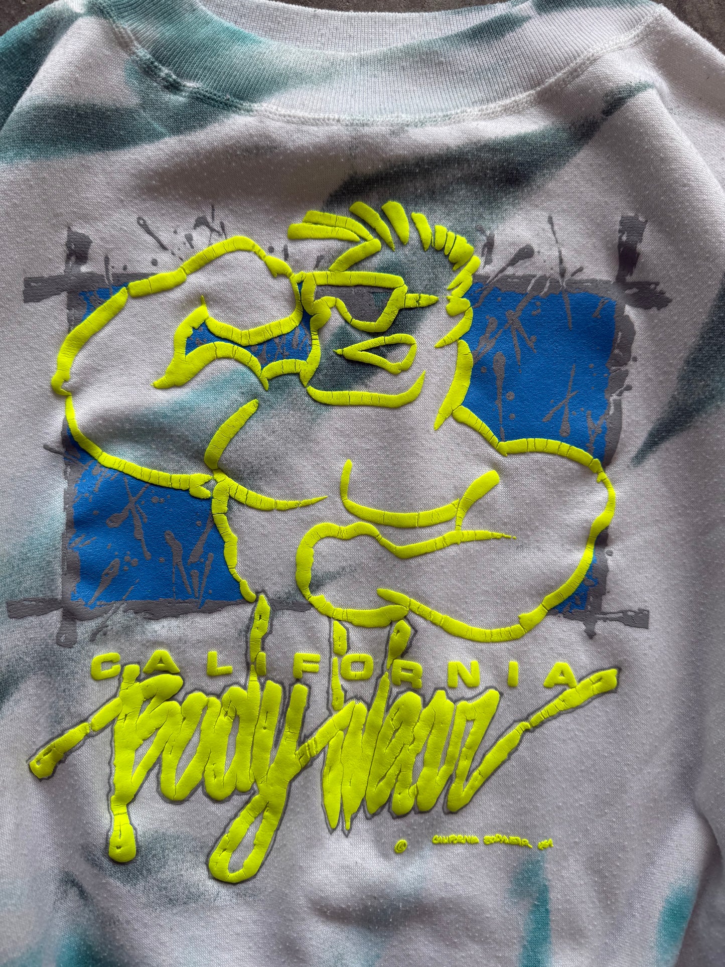 (L) Vintage Beach Gym Sweatshirt