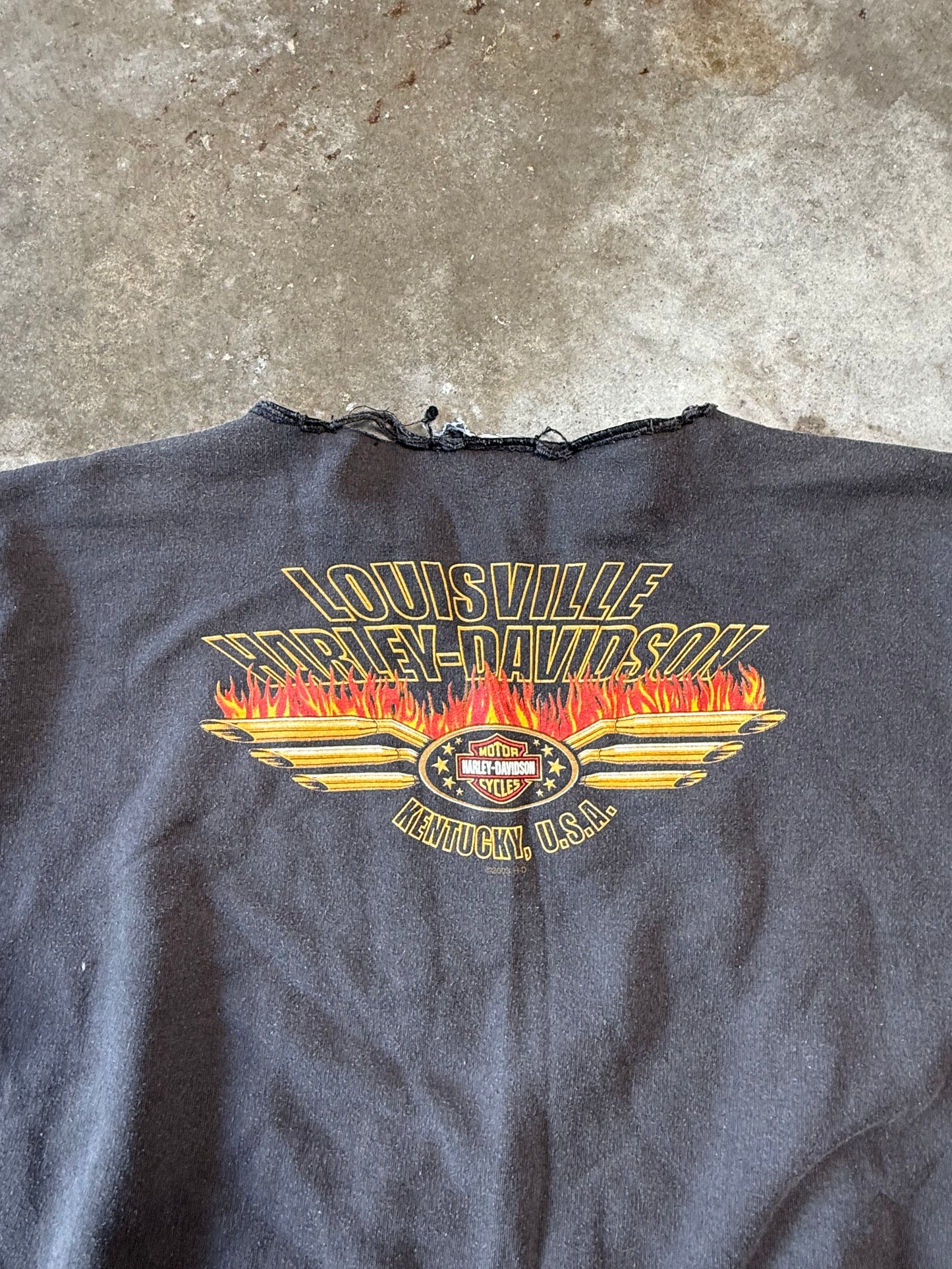 (XL) Vintage Harley Davidson Sweatshirt