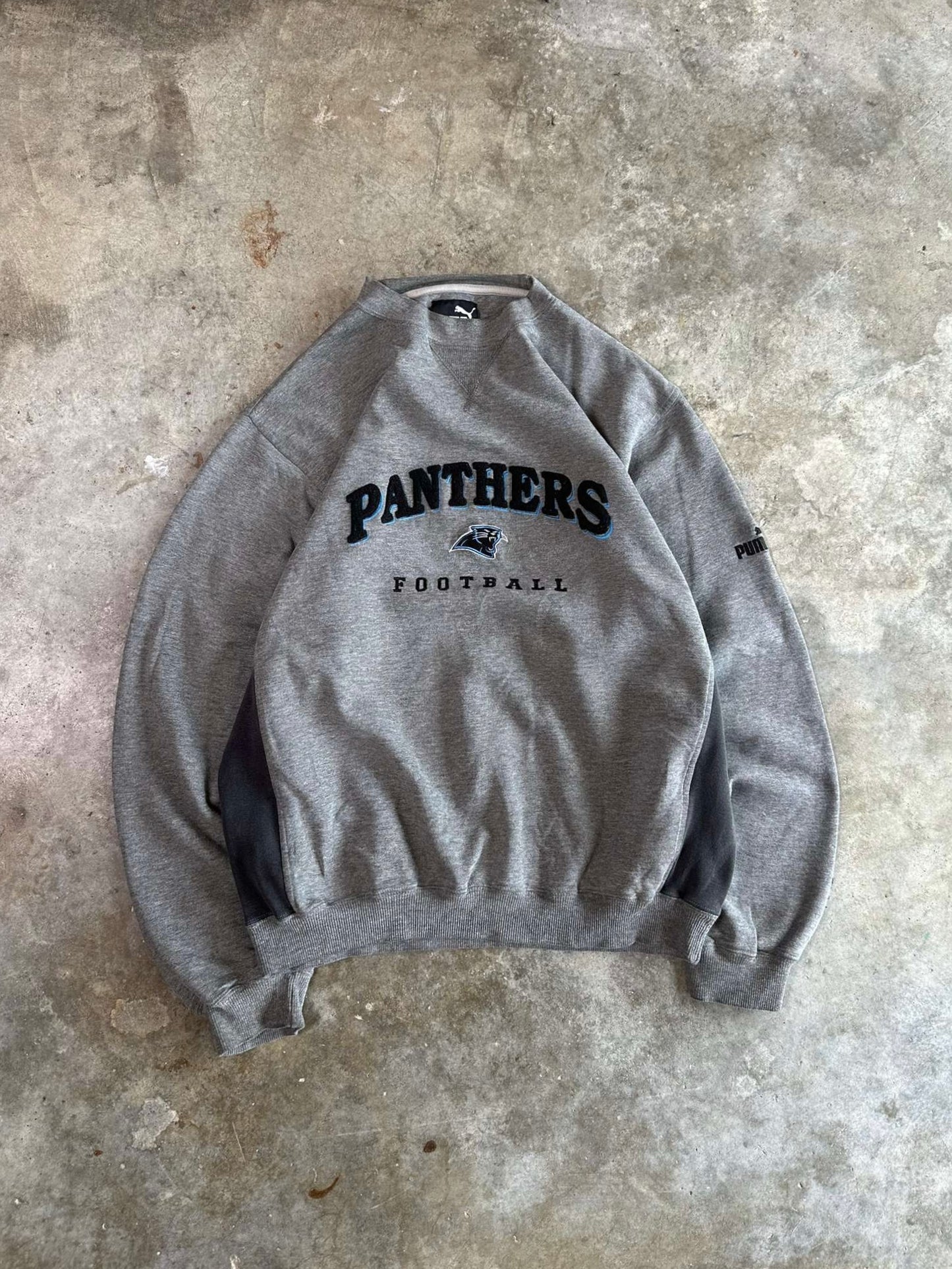 (L) 00s Panthers Sweatshirt