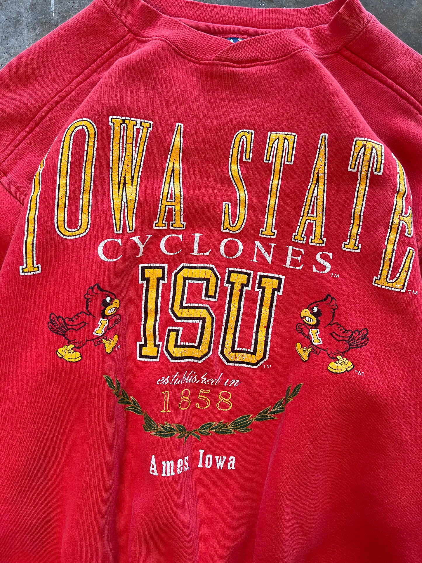 (M) Vintage Iowa State Sweatshirt