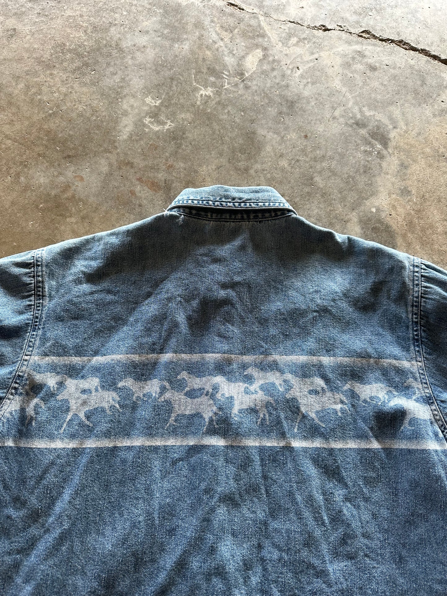 (L) Wrangler Denim Button-Up Horse Print