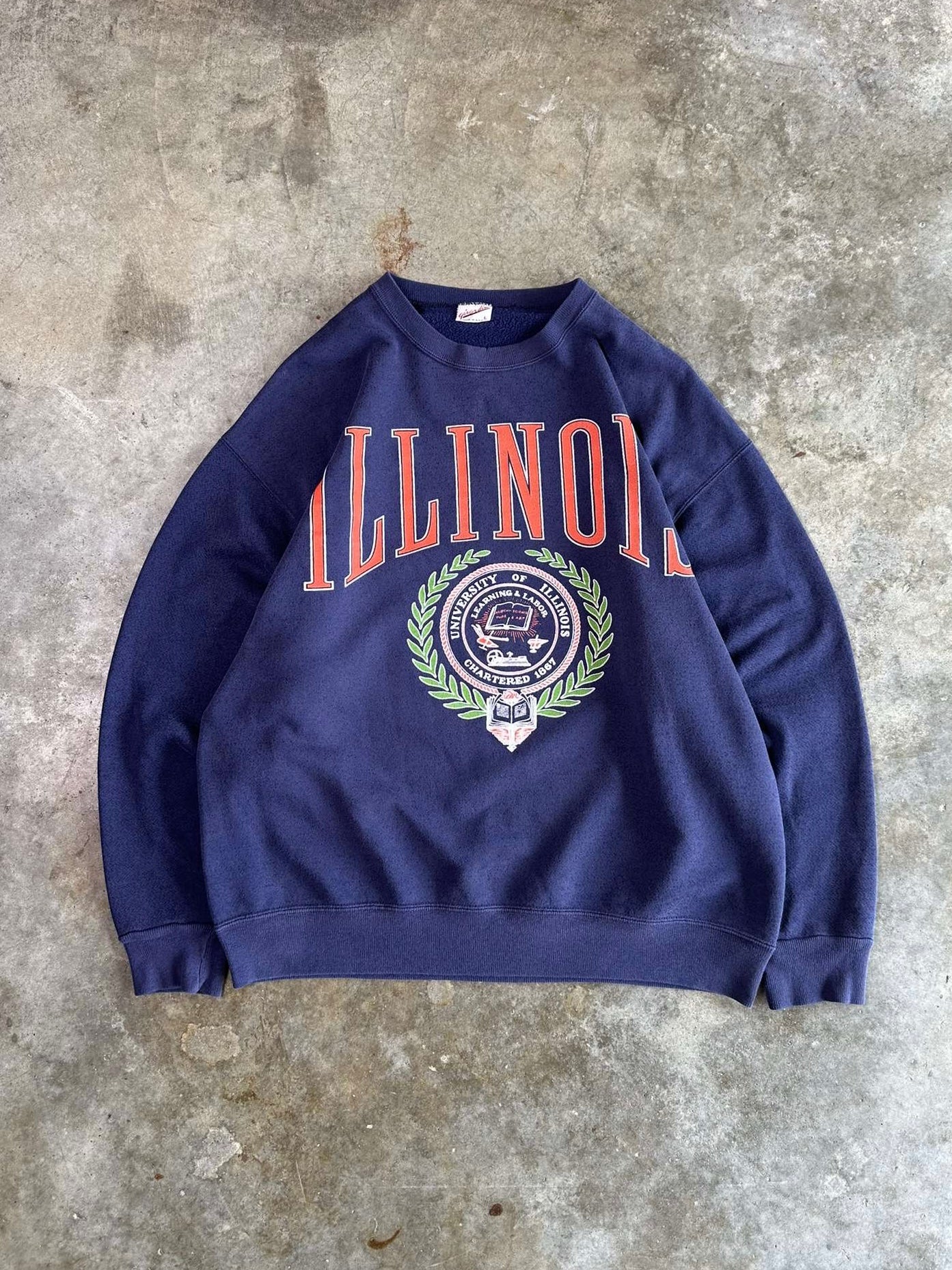 (L) Vintage University of Illinois Sweatshirt