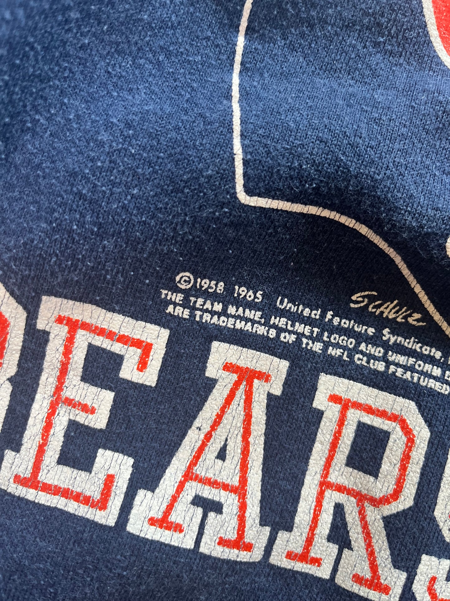 (L) Vintage Bears Sweatshirt