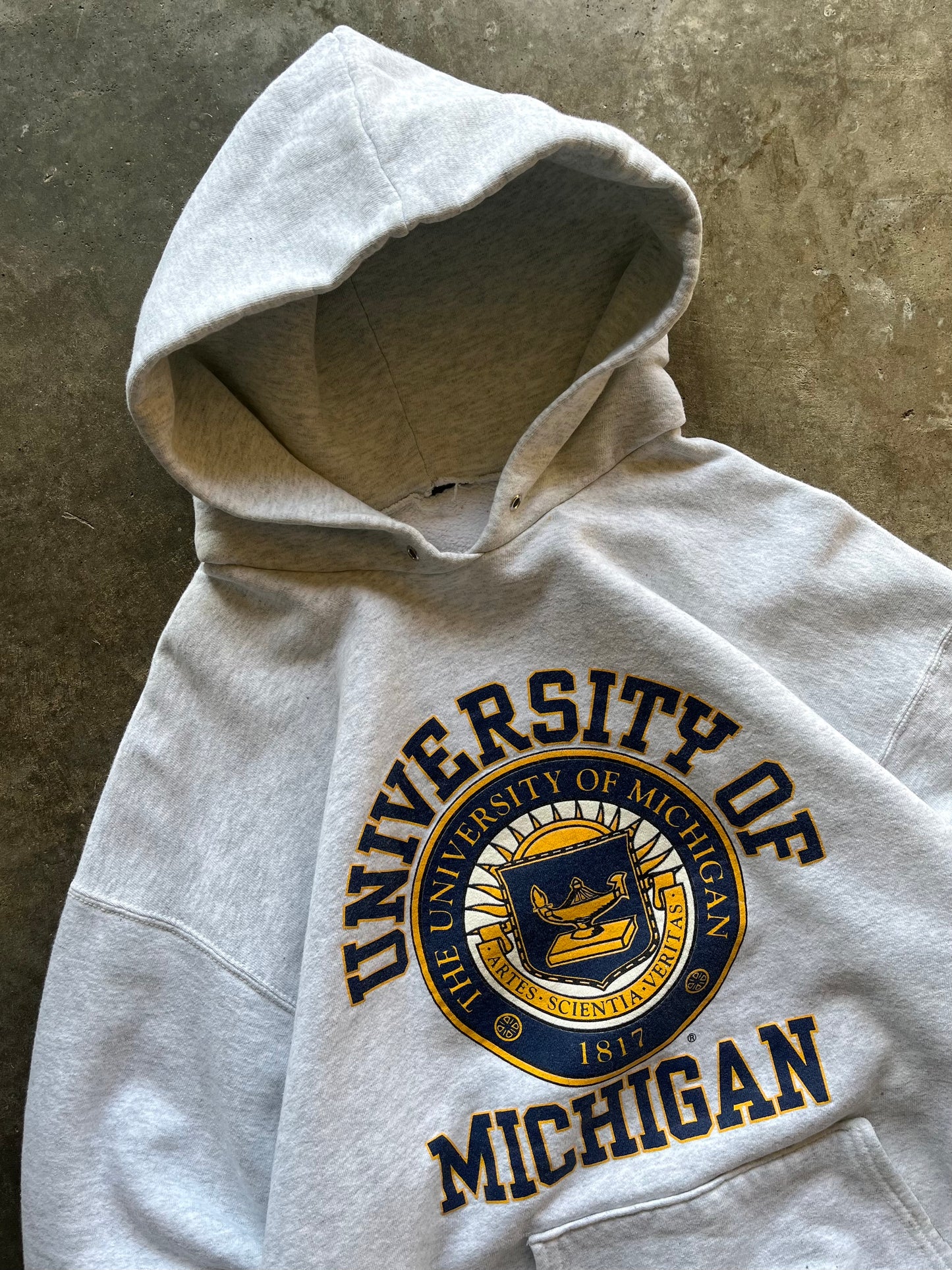 (L) Vintage University of Michigan Hoodie