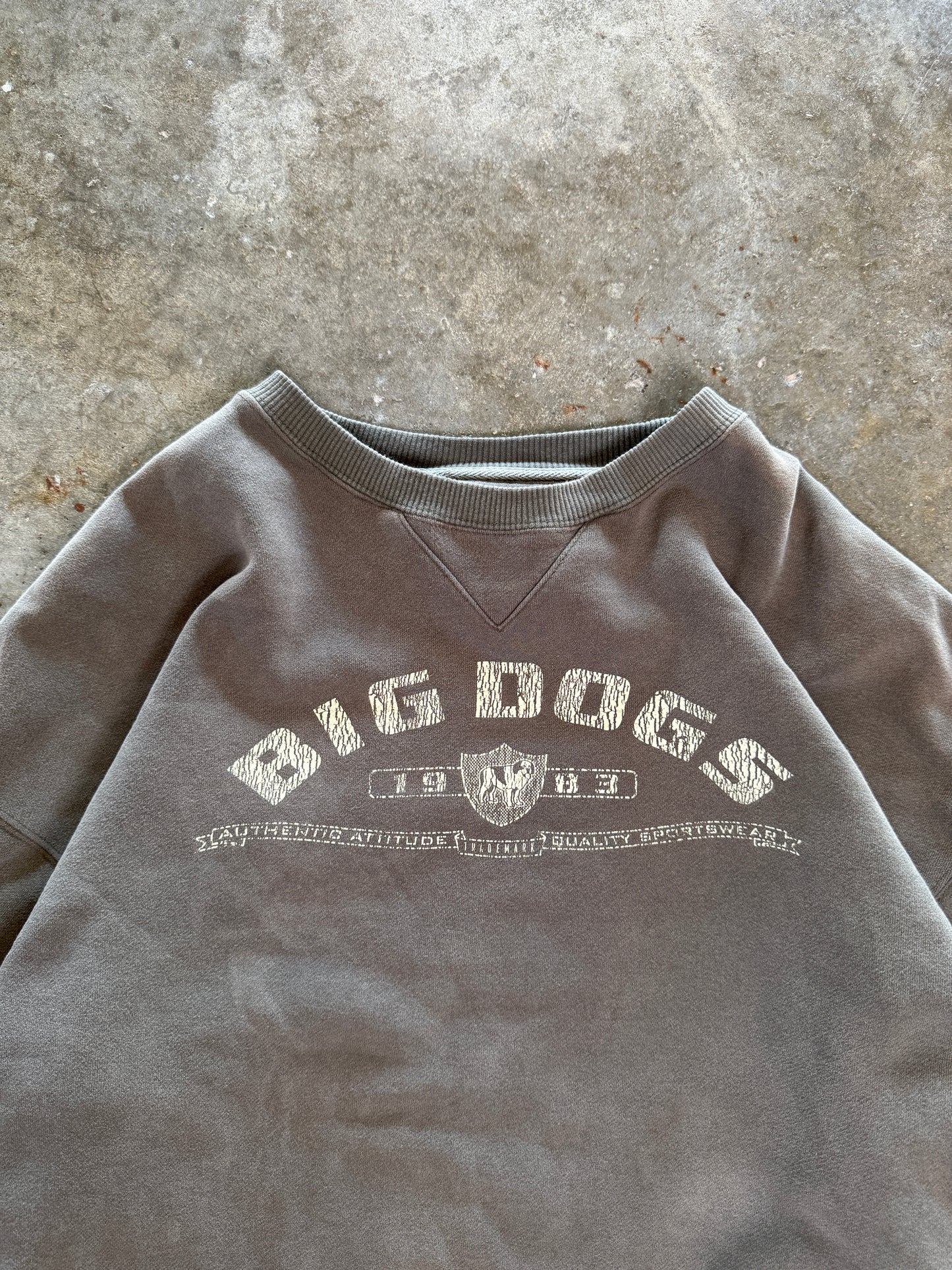 (L) 00s Big Dogs Sweatshirt