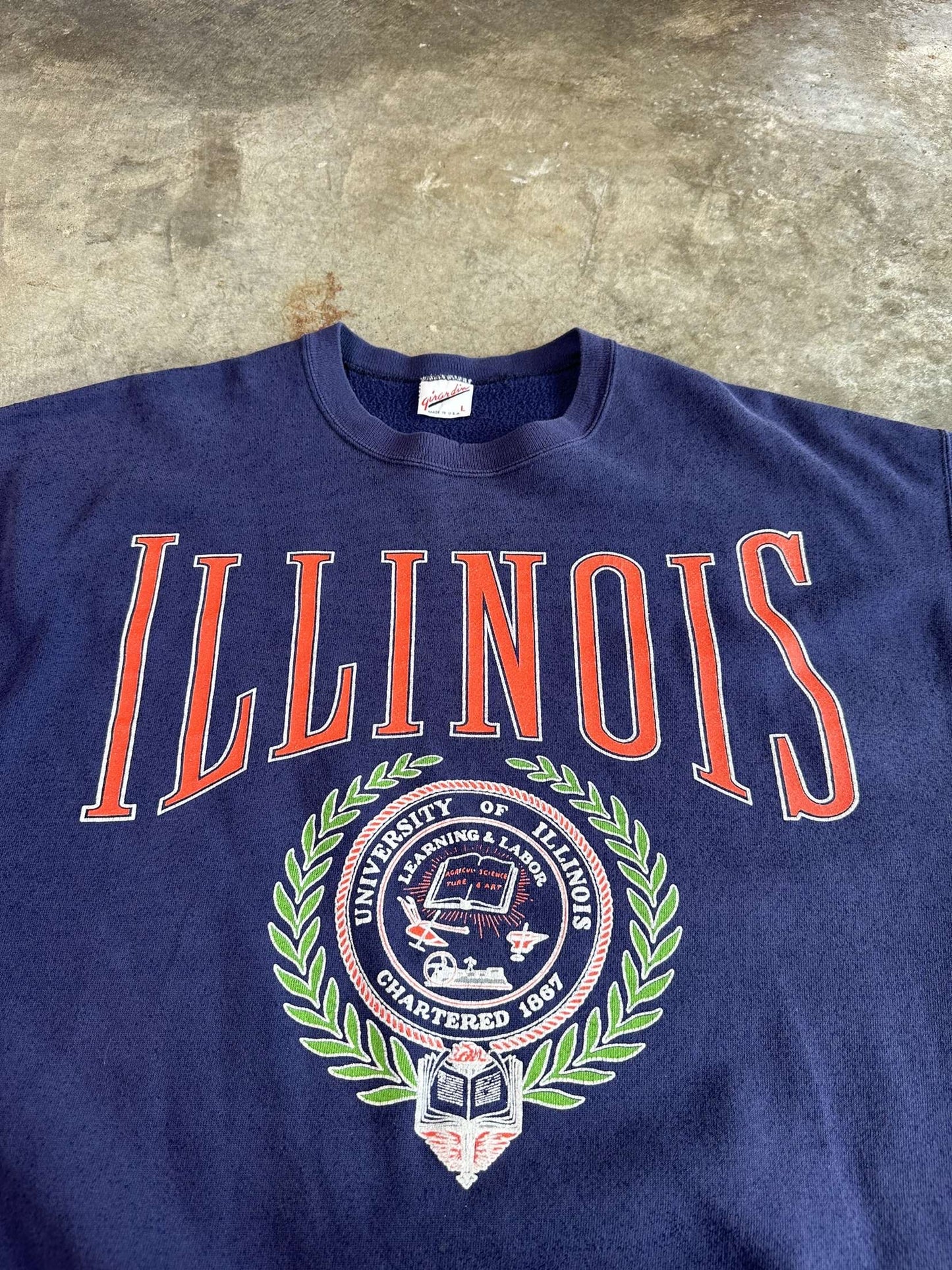 (L) Vintage University of Illinois Sweatshirt