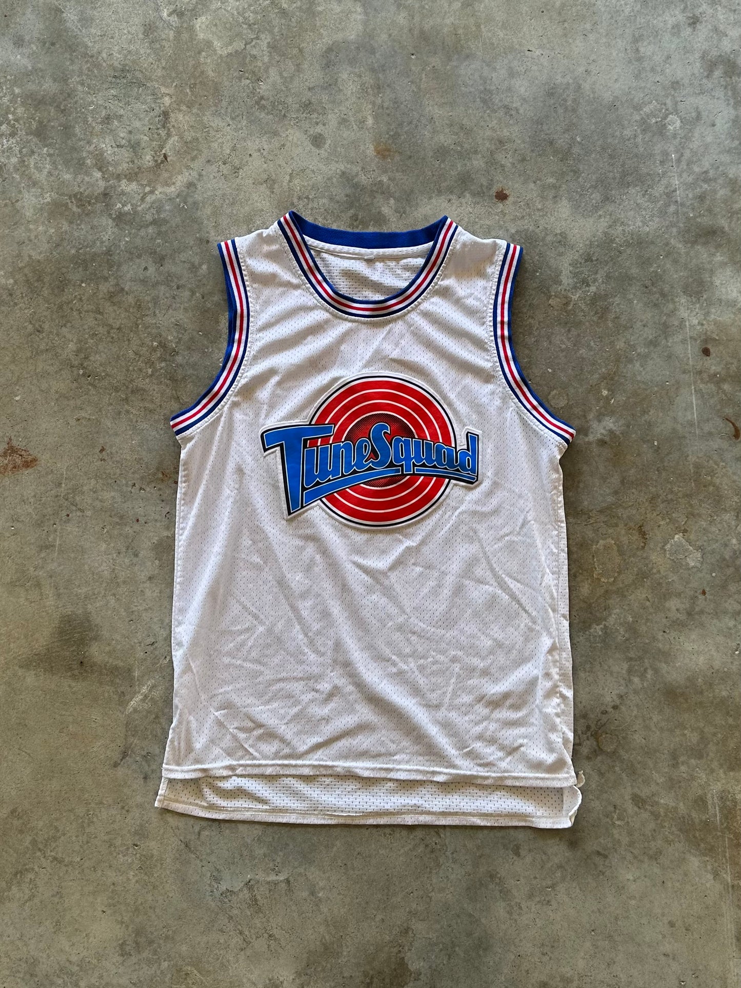 (M) Tune Squad Jersey