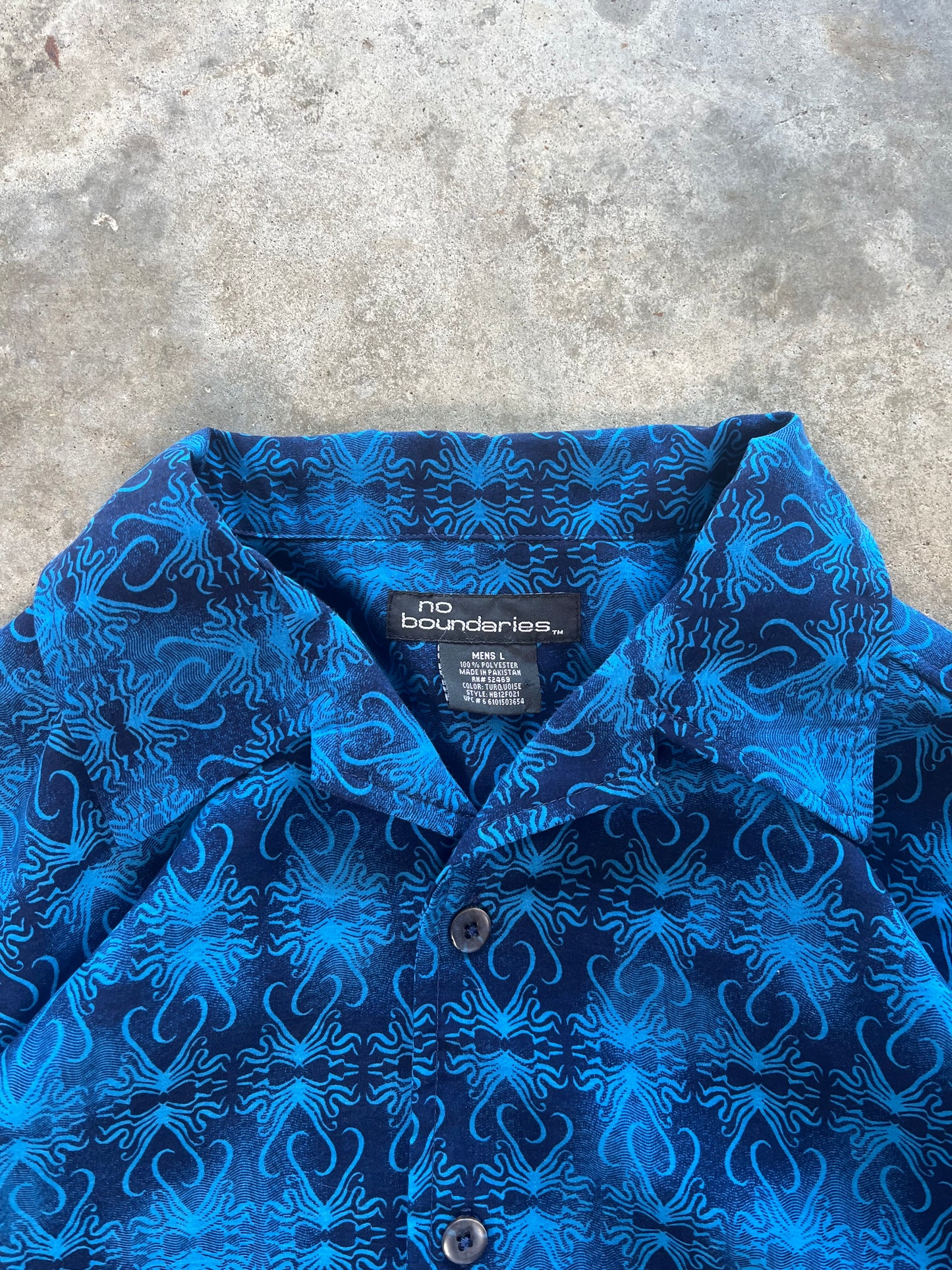 (L) Vintage No Boundaries Button-Up