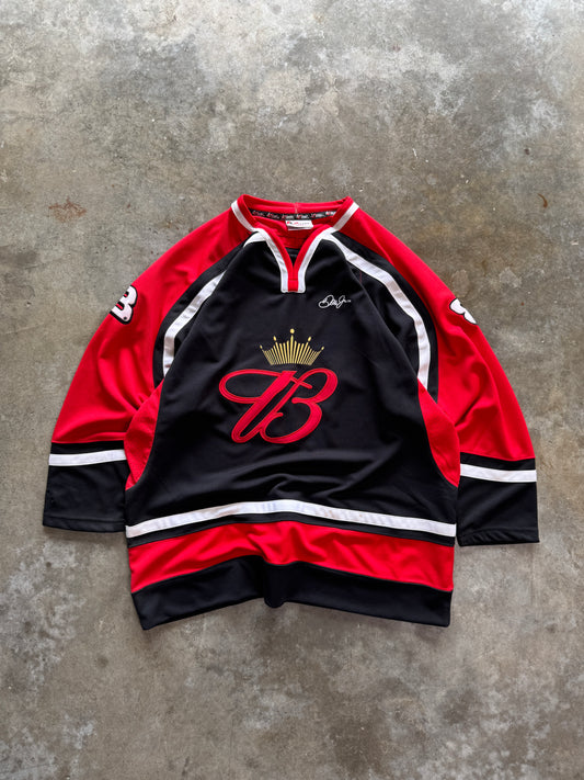 (L) Vintage Dale Earnhardt Jr. Jersey