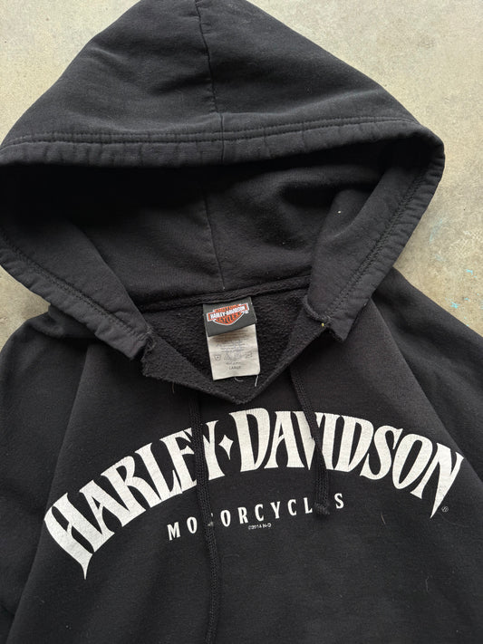 (L) 00s Harley Davidson Hoodie