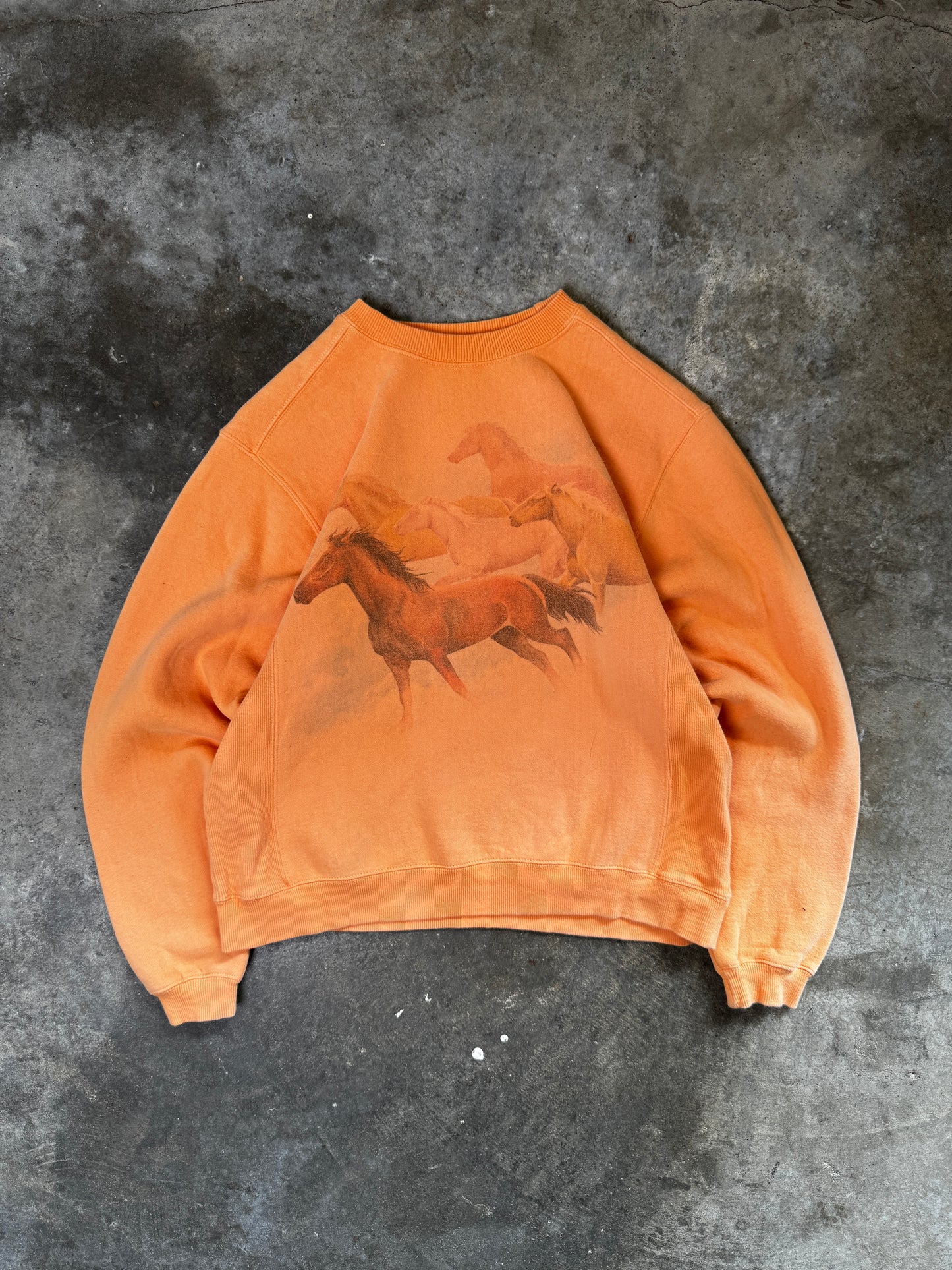 (L) Vintage Horses Sweatshirt