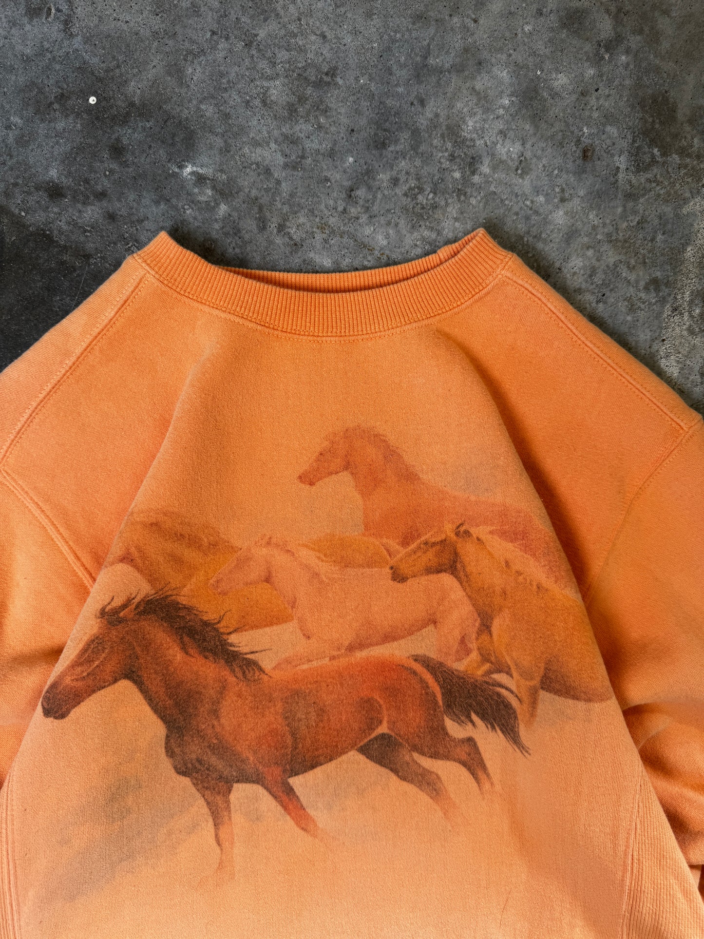 (L) Vintage Horses Sweatshirt