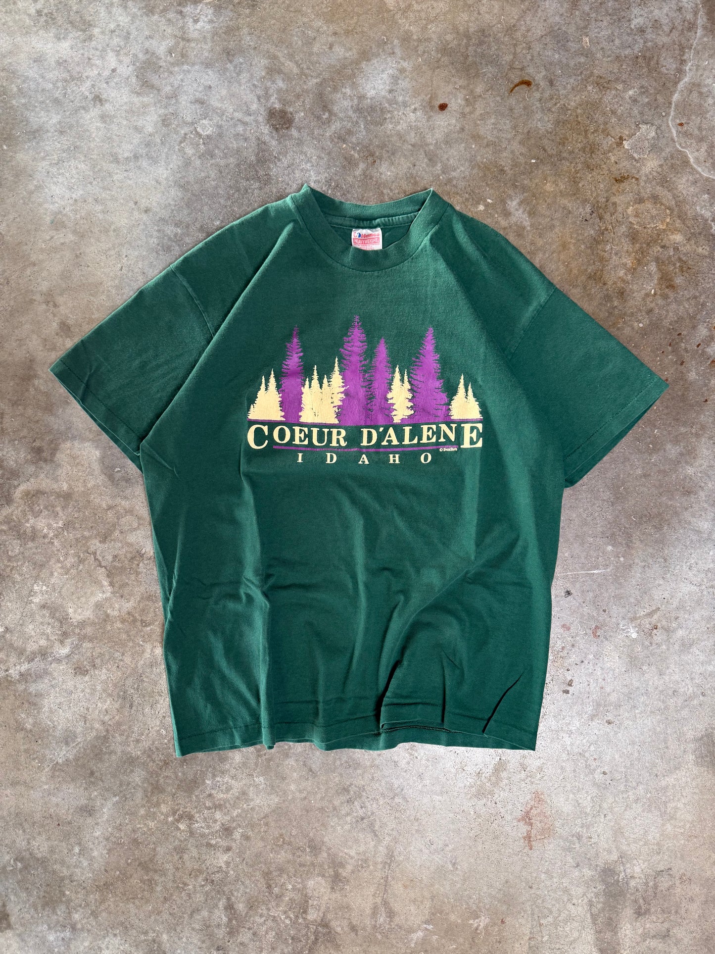 (XL) Vintage Idaho Nature Tee