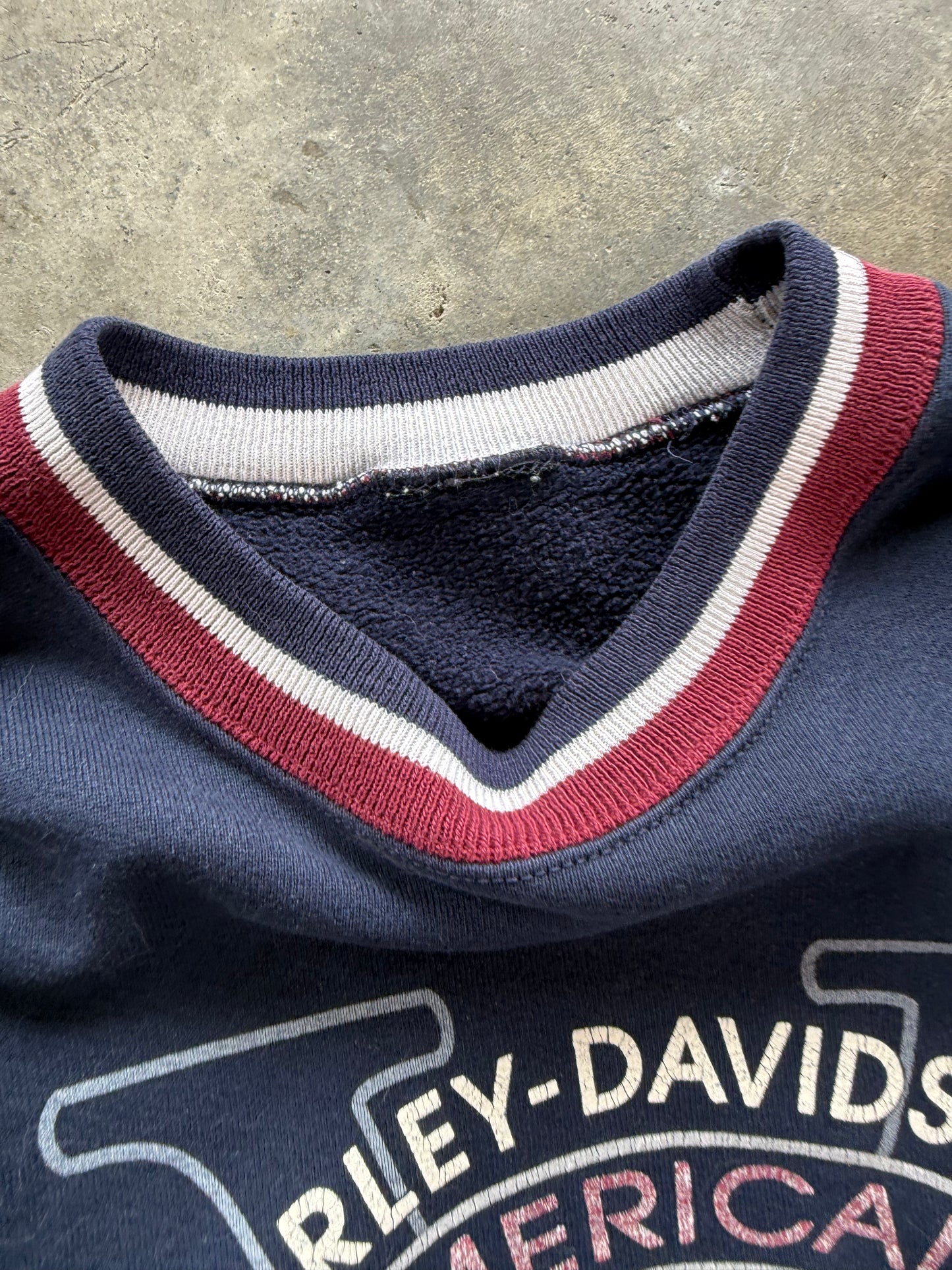 (L) Vintage Harley Davidson Sweatshirt